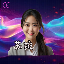苏婉